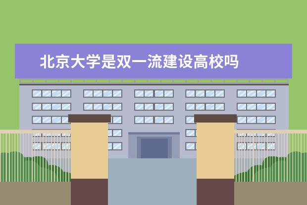 北京大学是双一流建设高校吗