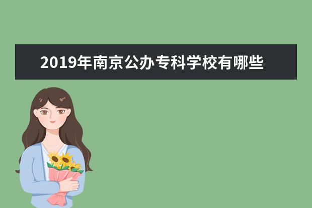 2019年南京公办专科学校有哪些 最新高职院校名单