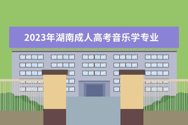 2023年湖南成人高考音乐学专业可报考哪些大学