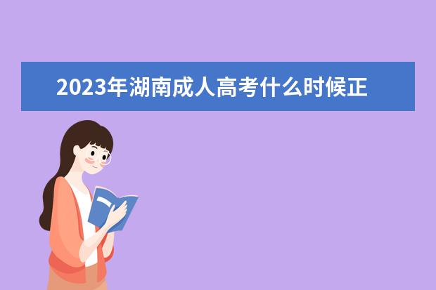 2023年湖南成人高考什么时候正式报名？