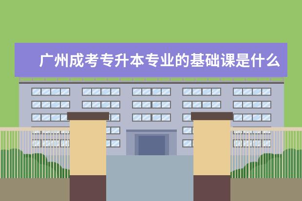 广州成考专升本专业的基础课是什么 天津成考专升本多少分能过