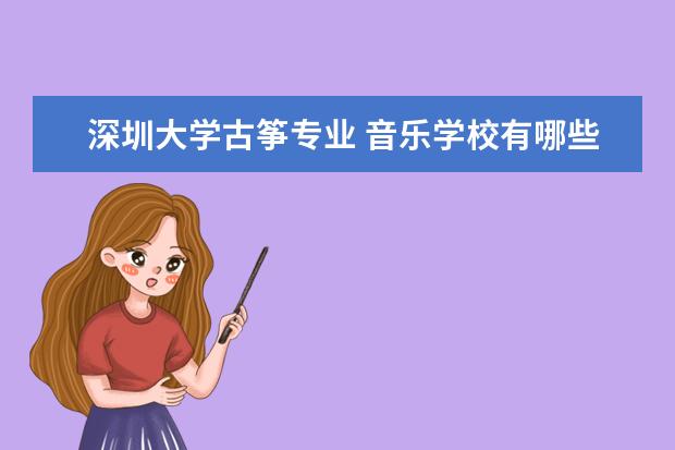 深圳大学古筝专业 音乐学校有哪些专业学校?