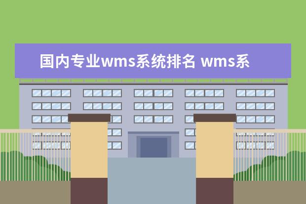 国内专业wms系统排名 wms系统前十名的供应商?