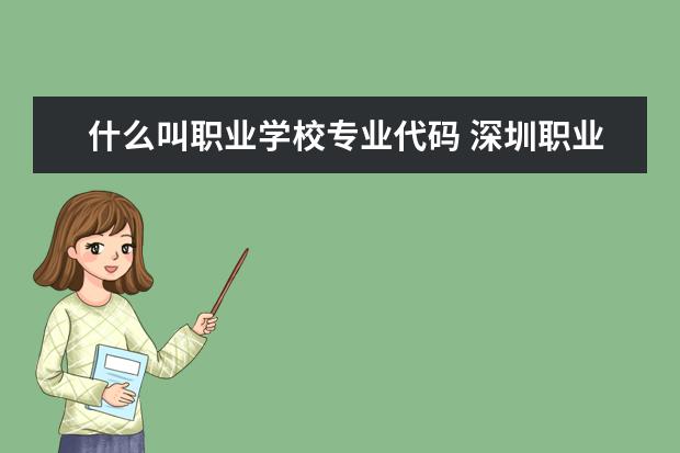 什么叫职业学校专业代码 深圳职业技术学院专业代码!